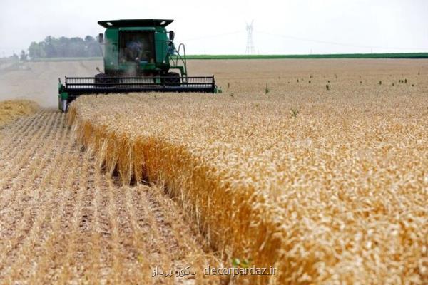 ذخایر گندم جهانی در پایین ترین سطح 6 سال اخیر!